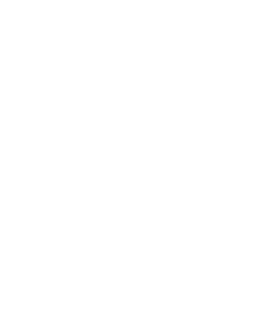 Premier League